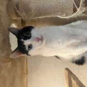 ヒメ日記 2025/10/27 10:02 投稿 黒川 おふくろ