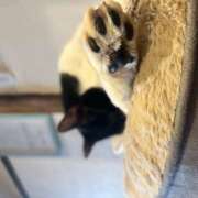 ヒメ日記 2025/11/06 13:31 投稿 黒川 おふくろ