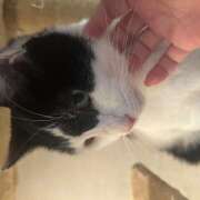 ヒメ日記 2025/11/23 09:32 投稿 黒川 おふくろ