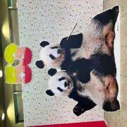 ヒメ日記 2025/11/28 23:56 投稿 黒川 おふくろ