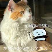 ヒメ日記 2026/02/01 12:13 投稿 黒川 おふくろ