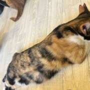 ヒメ日記 2026/03/03 10:37 投稿 黒川 おふくろ