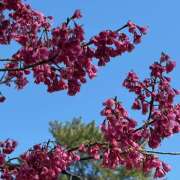 ヒメ日記 2026/03/14 22:54 投稿 黒川 おふくろ