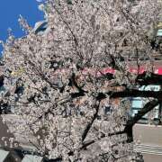 黒川 夜でも寒くない おふくろ