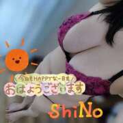 ヒメ日記 2025/05/08 08:46 投稿 しの★(完全業界未経験) ぽっちゃり女神 あぷろでぃーて