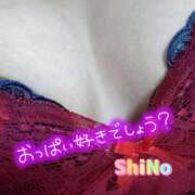 ヒメ日記 2025/05/22 18:46 投稿 しの★(完全業界未経験) ぽっちゃり女神 あぷろでぃーて