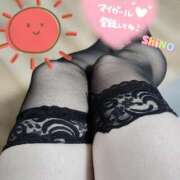 ヒメ日記 2025/06/27 08:01 投稿 しの★(完全業界未経験) ぽっちゃり女神 あぷろでぃーて