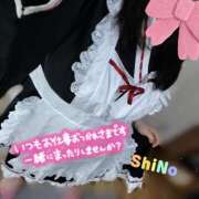 ヒメ日記 2025/06/27 16:18 投稿 しの★(完全業界未経験) ぽっちゃり女神 あぷろでぃーて