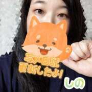 ヒメ日記 2025/10/03 19:07 投稿 しの★(完全業界未経験) ぽっちゃり女神 あぷろでぃーて