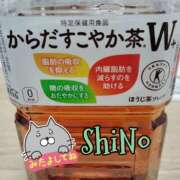 ヒメ日記 2025/10/26 14:51 投稿 しの★(完全業界未経験) ぽっちゃり女神 あぷろでぃーて