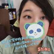 ヒメ日記 2025/10/29 15:30 投稿 しの★(完全業界未経験) ぽっちゃり女神 あぷろでぃーて