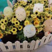 ヒメ日記 2025/11/29 22:00 投稿 しの★(完全業界未経験) ぽっちゃり女神 あぷろでぃーて