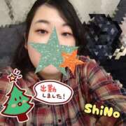 ヒメ日記 2025/12/08 12:33 投稿 しの★(完全業界未経験) ぽっちゃり女神 あぷろでぃーて