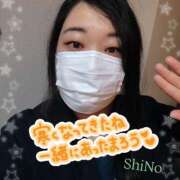 ヒメ日記 2026/01/11 13:45 投稿 しの★(完全業界未経験) ぽっちゃり女神 あぷろでぃーて