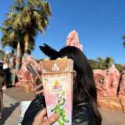 れむ でぃずにー ラブライフ大宮岩槻店