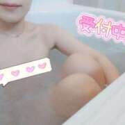 ヒメ日記 2025/04/19 15:30 投稿 ひなこ 沼津人妻花壇