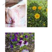 ヒメ日記 2025/04/21 13:08 投稿 ★らん★ 秘密の電停  岡山店（カサブランカグループ）