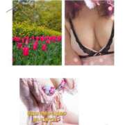 ヒメ日記 2025/04/29 23:32 投稿 ★らん★ 秘密の電停  岡山店（カサブランカグループ）