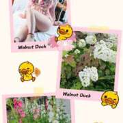 ヒメ日記 2025/06/02 22:32 投稿 ★らん★ 秘密の電停  岡山店（カサブランカグループ）