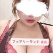 ヒメ日記 2025/11/19 00:17 投稿 まお Tokyo fairy land-東京フェアリーランド-