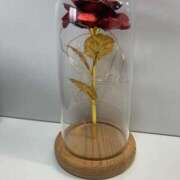 波多野まな テスト 五十路マダム 浜松店(カサブランカグループ)