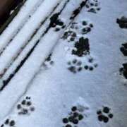 きずな 8/29のNさま！ 錦糸町人妻セレブリティ（ユメオト）