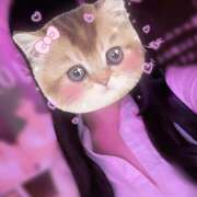 ヒメ日記 2025/11/12 01:12 投稿 あまね みつばちマーヤZ