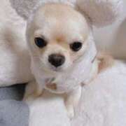 ヒメ日記 2025/05/06 23:25 投稿 松本ともみ（まつもと ともみ） 桃色奥様(佐賀)