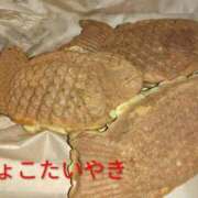 ヒメ日記 2026/02/08 19:52 投稿 桃(もも) PLUS梅田店