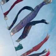 ヒメ日記 2025/05/02 11:47 投稿 霞(かすみ) Chaleur (シャルール)