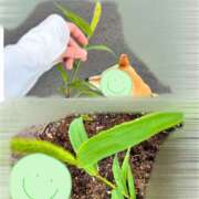 ヒメ日記 2025/05/29 07:51 投稿 霞(かすみ) Chaleur (シャルール)