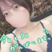 ヒメ日記 2025/06/17 09:45 投稿 霞(かすみ) Chaleur (シャルール)