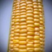 ヒメ日記 2025/07/04 17:38 投稿 霞(かすみ) Chaleur (シャルール)