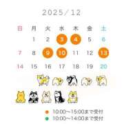 霞(かすみ) 12月前半の予定 Chaleur (シャルール)