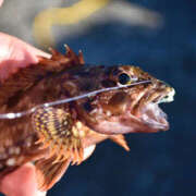 ヒメ日記 2025/05/09 08:36 投稿 美咲 モアグループ所沢人妻城