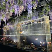 ヒメ日記 2025/06/18 21:51 投稿 美咲 モアグループ所沢人妻城