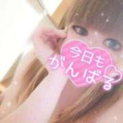 ヒメ日記 2025/09/15 12:06 投稿 まな 福岡飯塚田川ちゃんこ