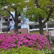 ヒメ日記 2025/06/13 09:09 投稿 篠塚 熟女の風俗最終章 横浜本店