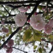 凪(なぎ) 🐱週末のお礼🐱 Chaleur (シャルール)