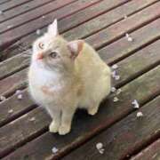 ヒメ日記 2025/05/28 18:35 投稿 うい 夢幻 取手店