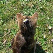 ヒメ日記 2025/07/21 18:01 投稿 うい 夢幻 取手店