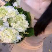 ヒメ日記 2025/07/01 18:39 投稿 うい 夢幻（むげん）