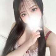 ヒメ日記 2025/04/20 09:14 投稿 白井いと ブルーバード