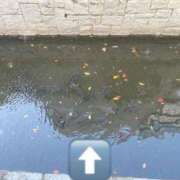 ヒメ日記 2025/11/19 18:59 投稿 百合(ゆり) チューリップ宇都宮店