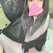 ヒメ日記 2025/04/24 04:19 投稿 すみれ フレッシュハニー