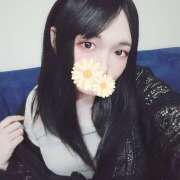 ヒメ日記 2025/05/03 16:18 投稿 すみれ フレッシュハニー