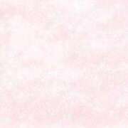 ヒメ日記 2025/05/20 06:10 投稿 ねね☆STANDARD Ribbon 1st