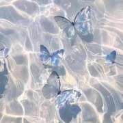 ヒメ日記 2025/08/13 01:53 投稿 ねね☆STANDARD Ribbon 1st