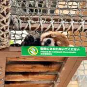 喜多川 もあ 明日出勤だよー❤️ 横浜ダンディー