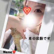 ヒメ日記 2025/06/20 13:12 投稿 ねね 熟女総本店